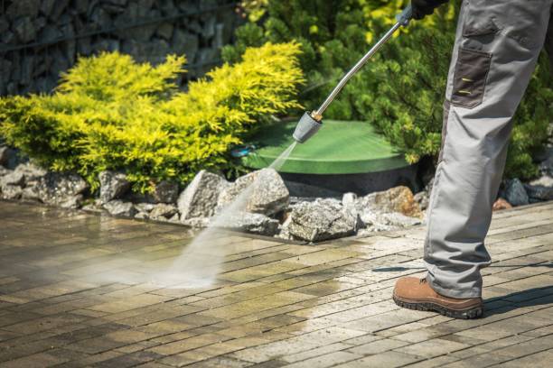Best Gutter Cleaning and Brightening in Black River Falls, WI
