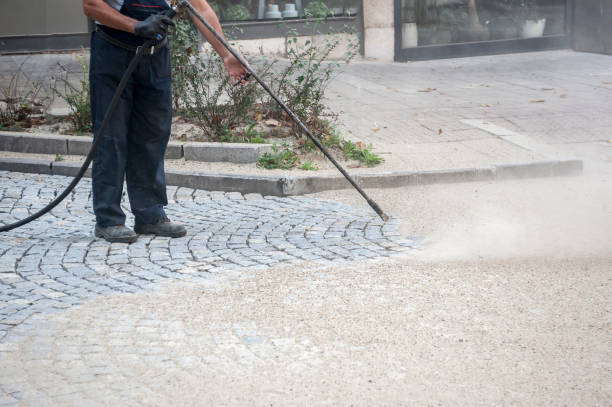 Best Window and Screen Pressure Cleaning in Black River Falls, WI